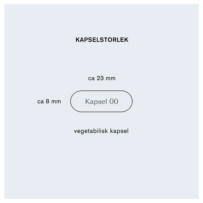 Holistic Resveratrol liposomal 30 kapslar