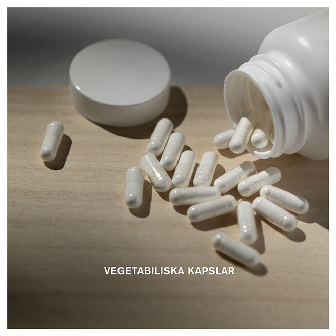 Holistic Resveratrol liposomal 30 kapslar